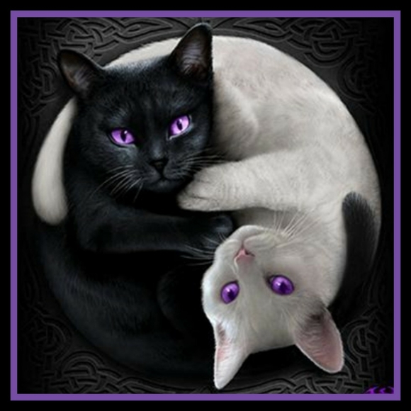 Hello Black Roses! Is Anyone Interested In Us Starting Our Share Group Up Again? - Picture 3 of 16